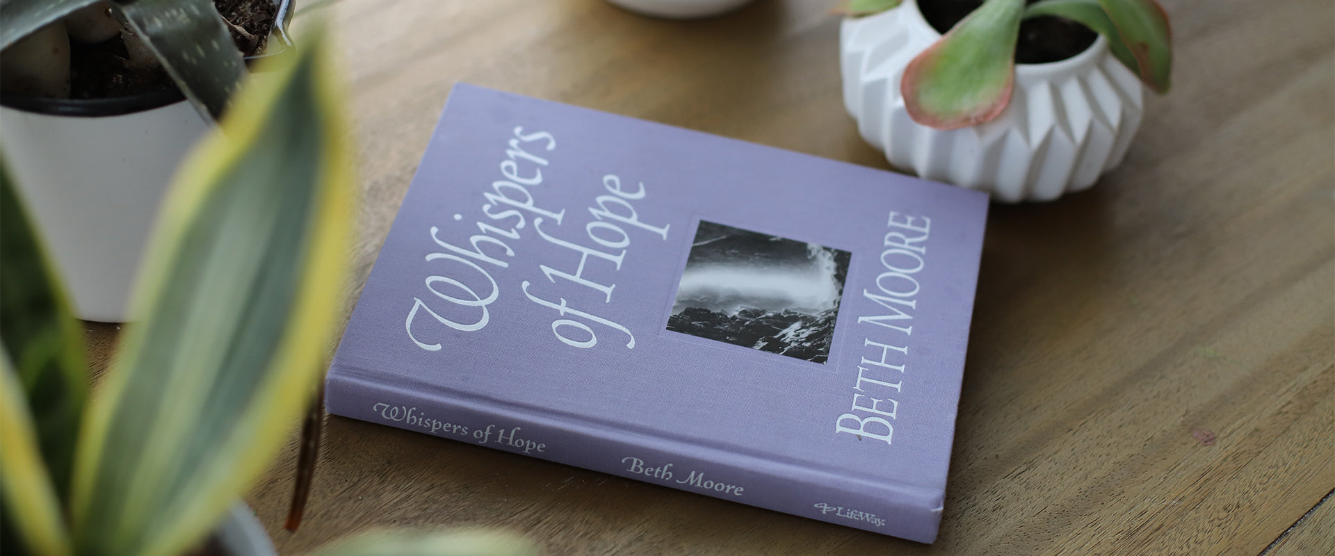 Whispers of Hope book covered in Kennett® Cornflower